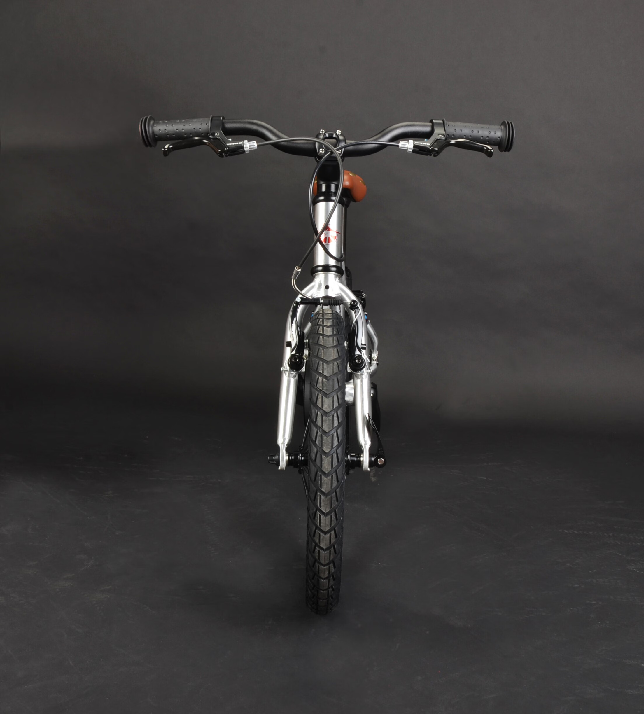 泊威尔 飞鱼儿童自行车20寸 fisher rider儿童自行车飞鱼男女孩脚踏