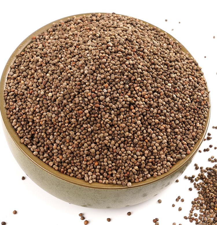 当季2斤苏麻仔 贵州特产农家自种生酥麻籽引子油性黑酥麻【图片 价格