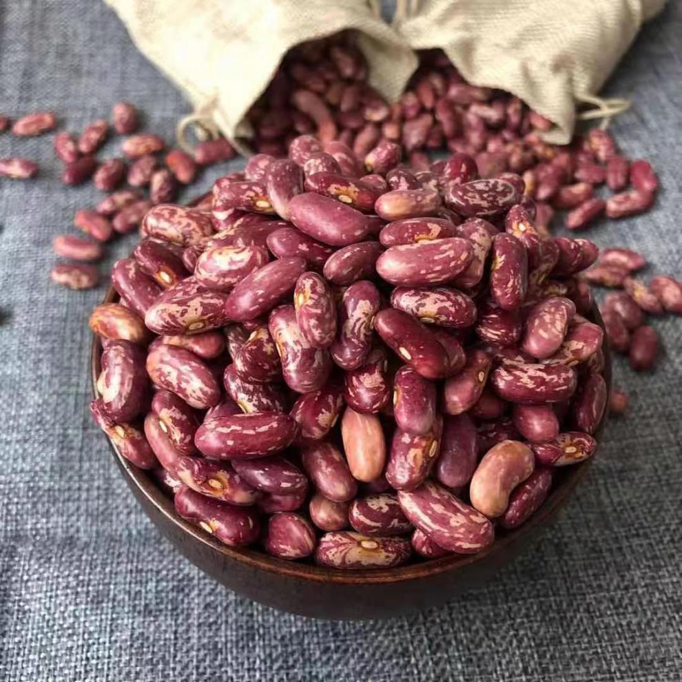 芬艳东北花饭豆25斤煮碴子专用豆农家自产红芸豆四季豆紫花芸豆花饭豆