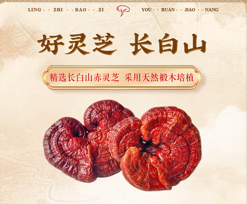 63d232fed0b8274c.jpg