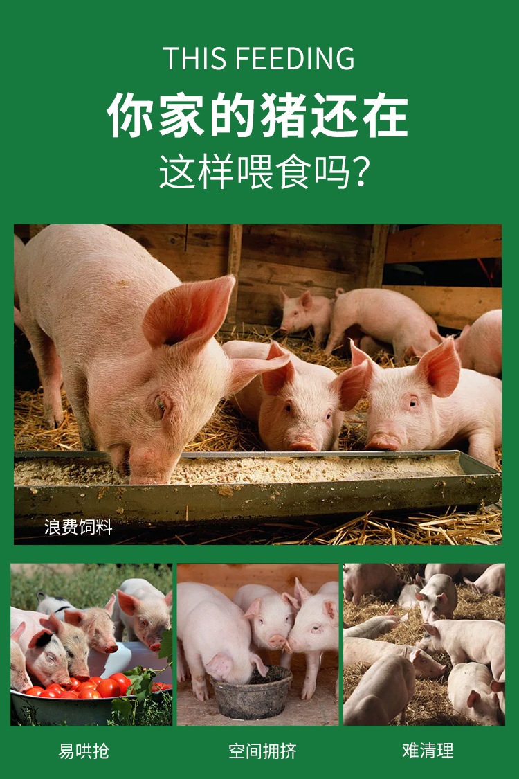 耐尔尼仔猪料槽小猪食槽喂猪槽新生猪用自动饲料补料槽小猪槽采食猪