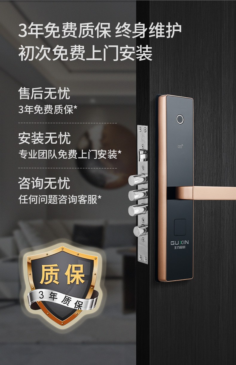 王力智能指纹门锁密码锁电子锁家用防盗智能门锁大门免费上门安装防