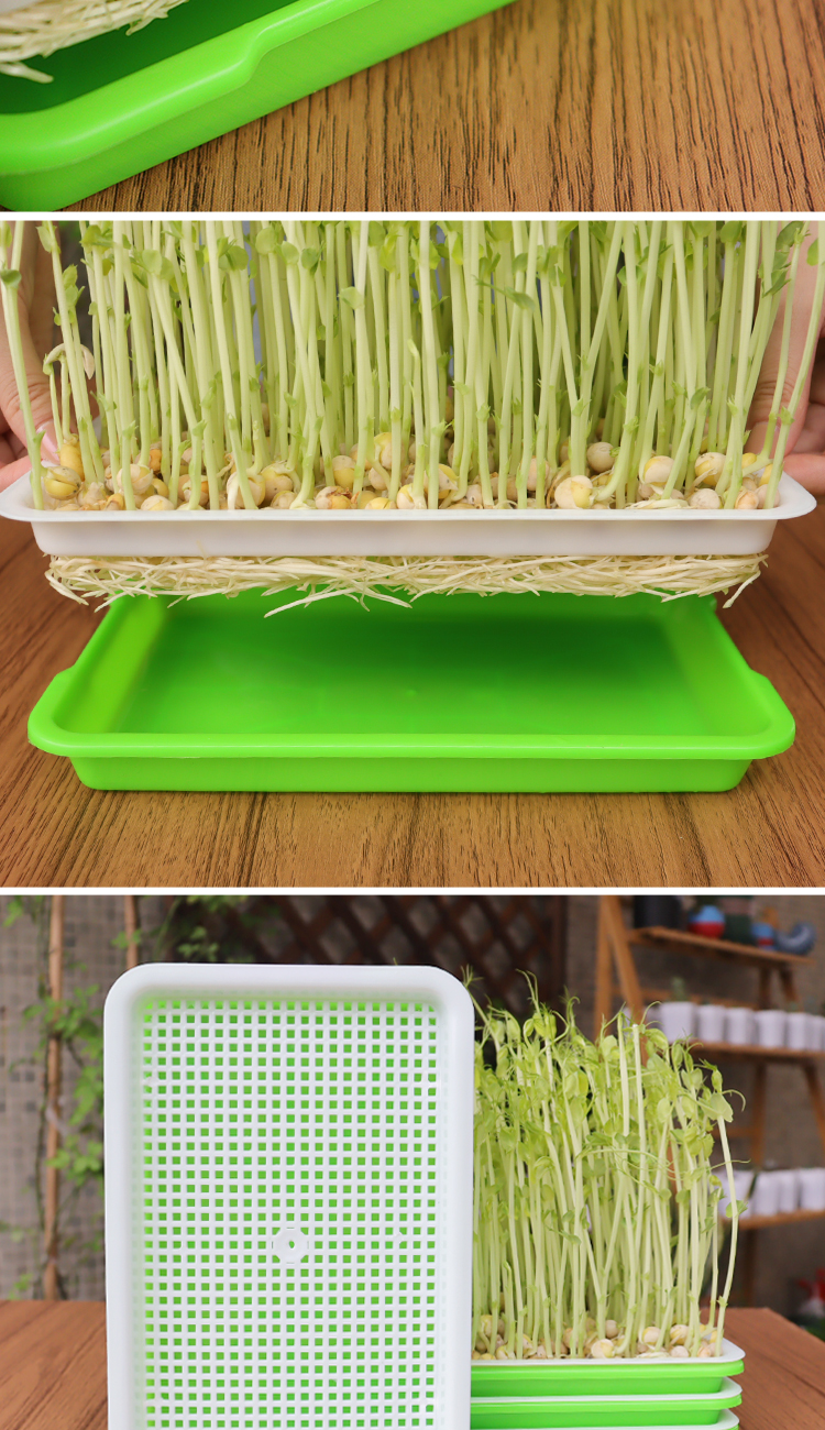 发豆芽神器豆芽发芽盆育苗盘芽苗菜水培盒发花生豆芽专用盆无土栽培