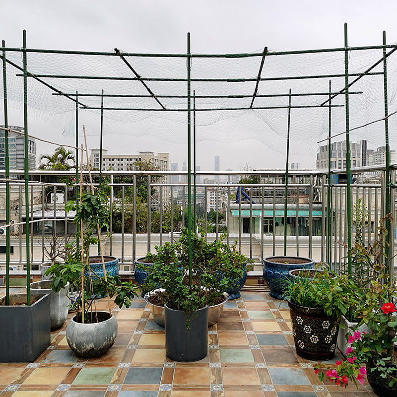 葡萄架子户外室外园艺爬藤架包塑钢管爬藤支架百香果葡萄攀爬架子粗