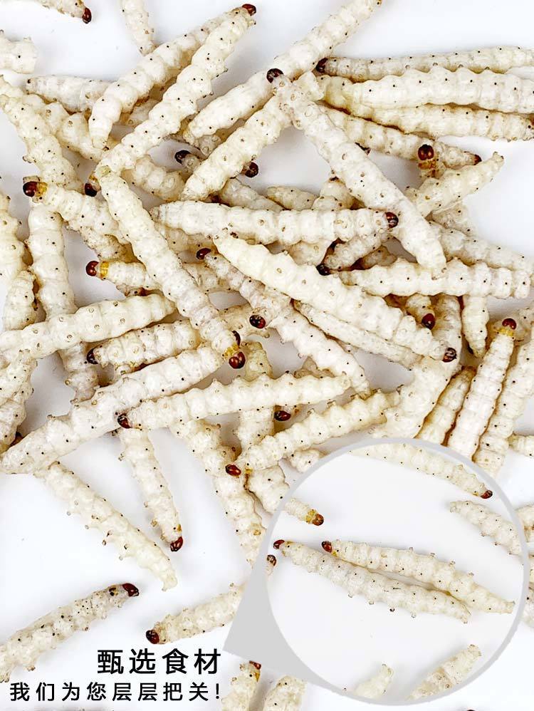 伟博新鲜活体竹虫冷冻竹香节虫云南特产笋虫竹蛹奶香味食用竹蜂儿虫子