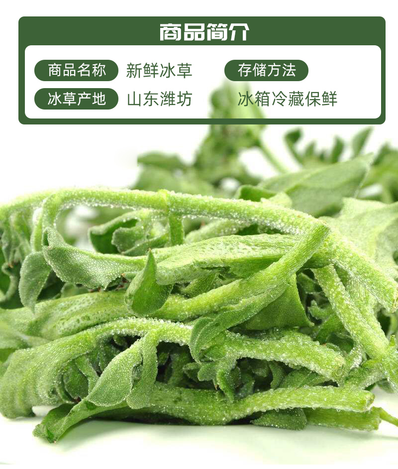 冰草菜名图片