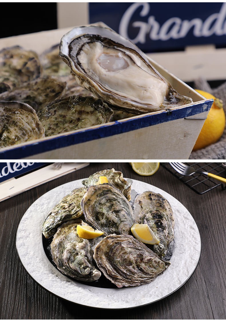 当年故事 法国进口鲜活生蚝吉拉多n1新鲜水产美食顺丰空运刺身级