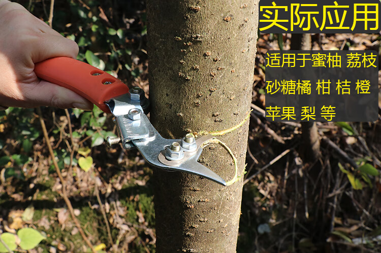 蜜柚桔子环割刀荔枝树环剥刀果树可调节砂糖桔环剥器柑橘环割器双割双