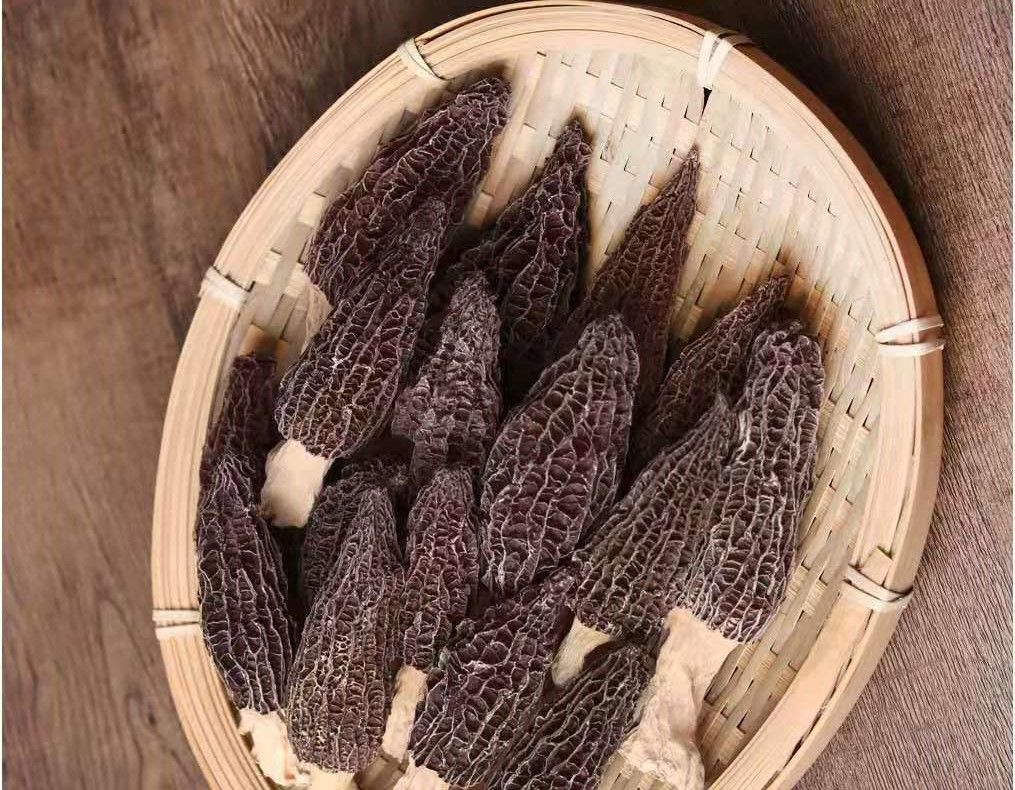 云南羊肚菌干货剪脚批发土特产菌煲汤30g 羊肚菌30克