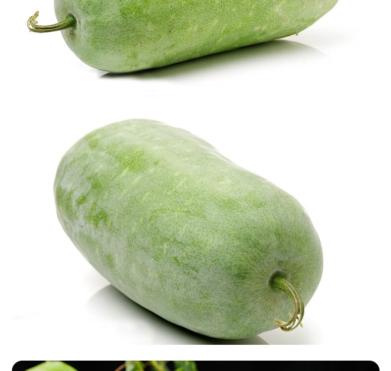 河南迷你小冬瓜新鲜现摘农家蔬菜挂霜冰川毛水果冬瓜9斤青皮节瓜 1500