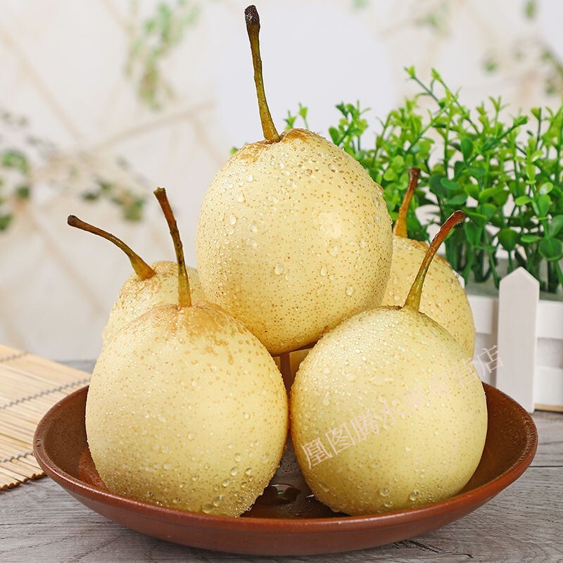 河北鸭梨 当季新鲜现发水晶梨皮薄超甜水果梨子雪梨 5斤大果【图片