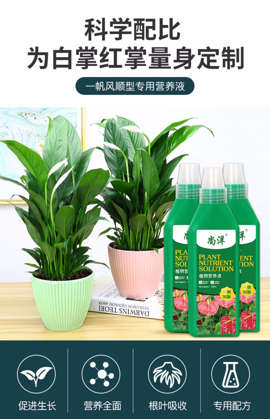 一帆风顺植物盆栽营养液花肥料营养液家用白掌红掌鸿运当头养花肥料