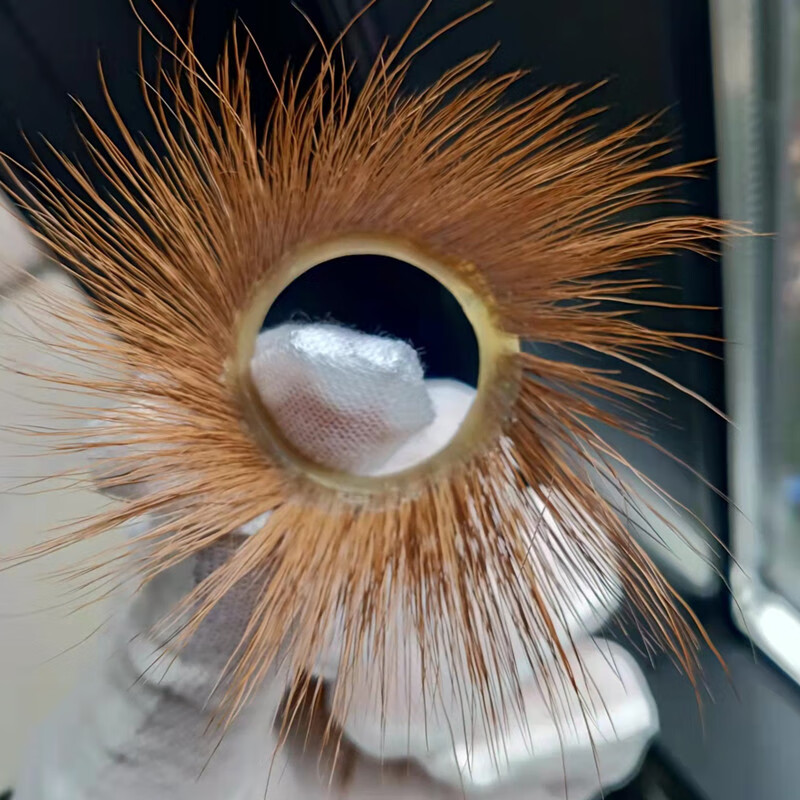 羊眼圈男用锁精环阴茎龟头套超弹力情趣环女性高潮性用品 套餐三(内径