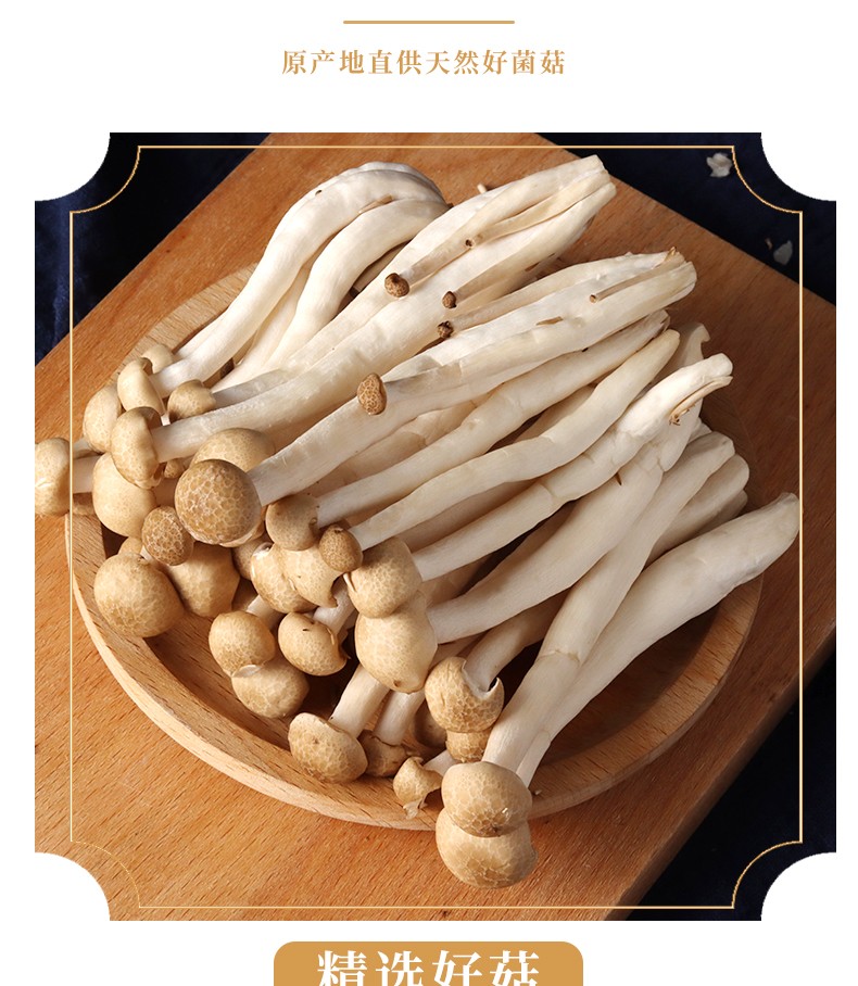 道香一品农家蟹味菇真姬菇新鲜蘑菇蔬菜煲汤火锅烧烤食用菌真姬菇礼品