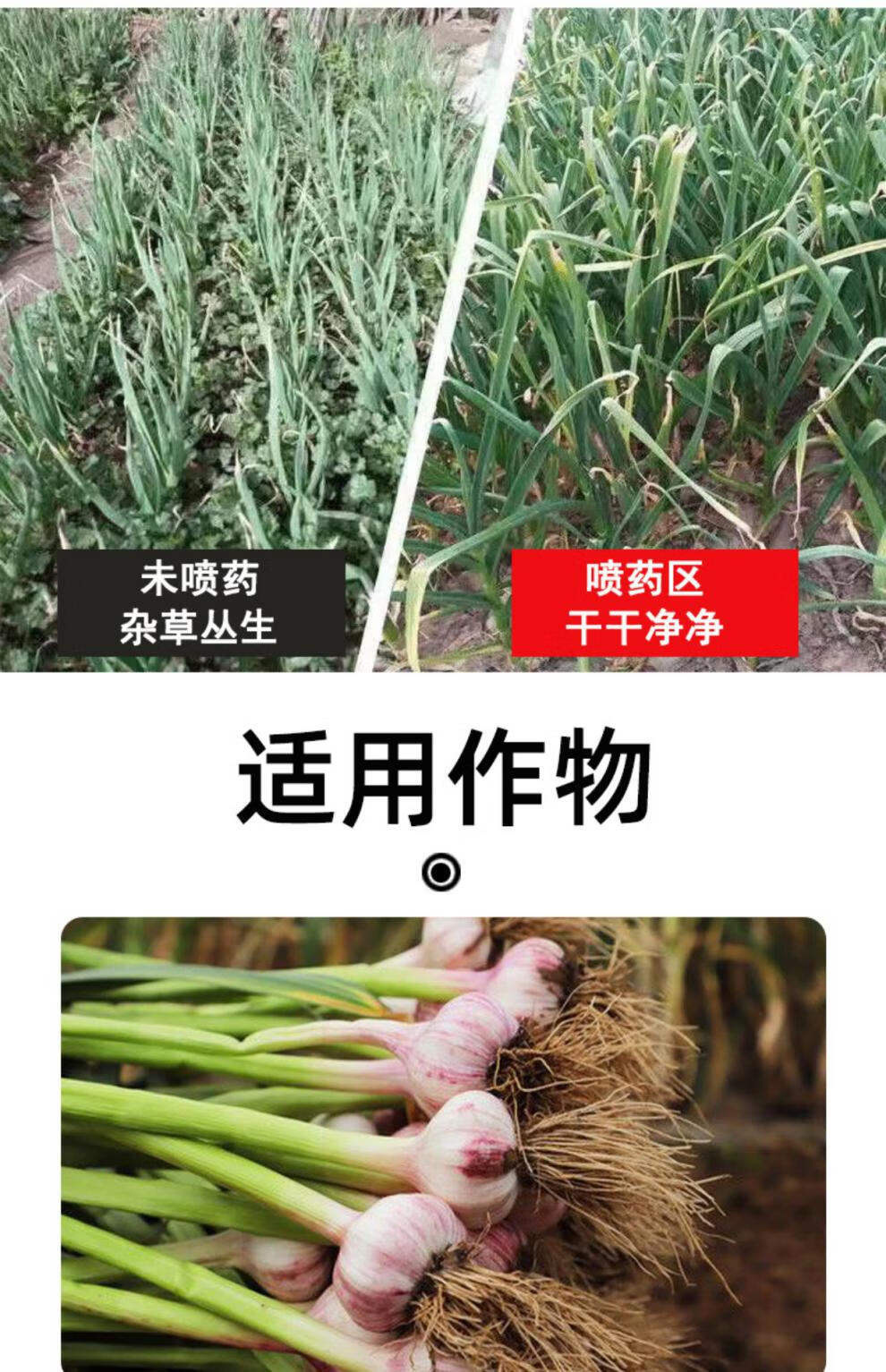 大蒜除草剂专用药大蒜田苗前封闭药二甲戊灵戍灵戊氧乙草胺铵农药