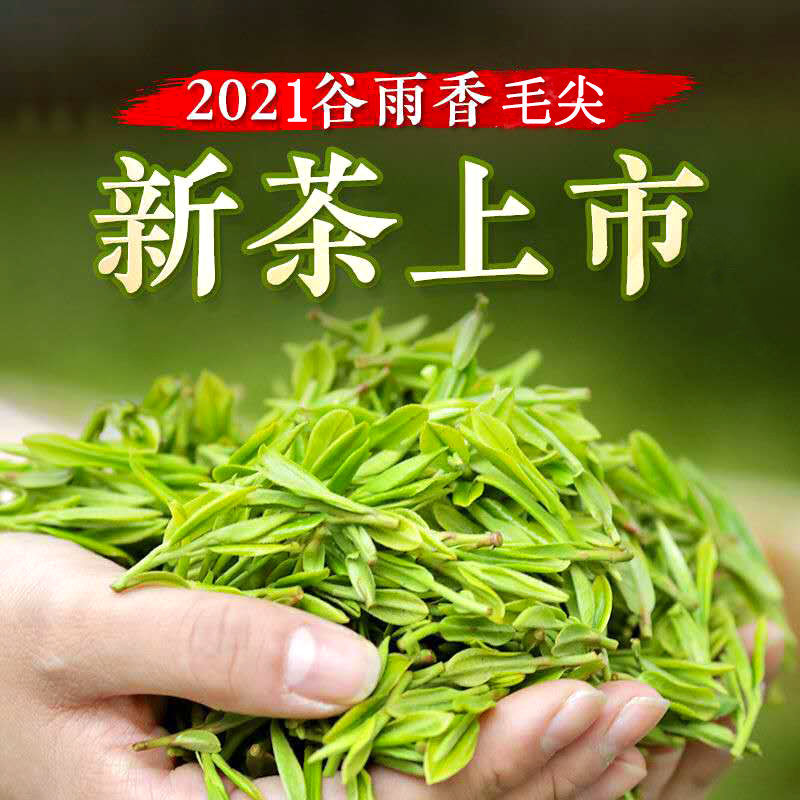 毛尖茶葉2021年新茶湖北宜昌高山五峰芽毛尖散裝富硒綠茶批發直毛尖