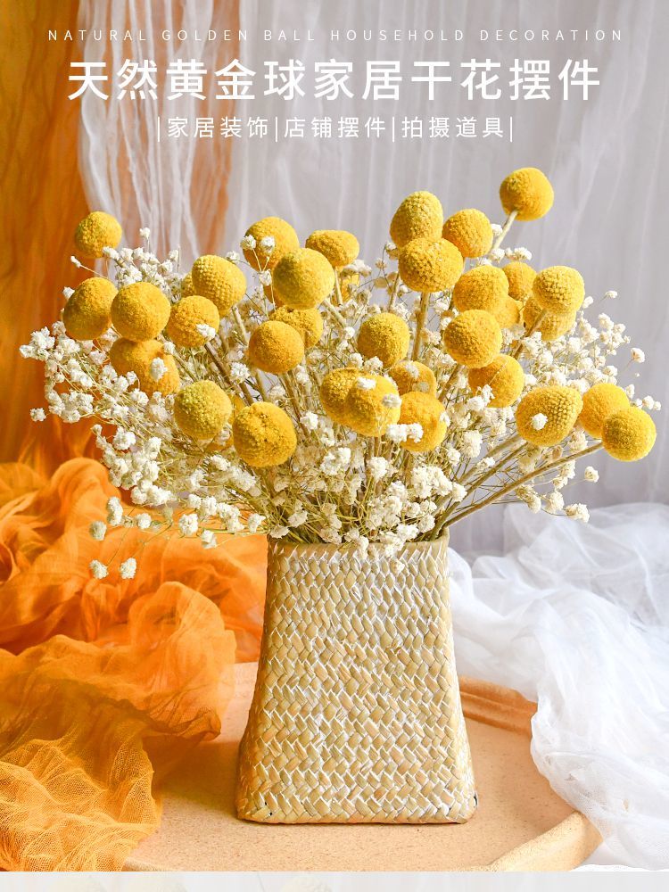 黄金球金槌花干花花束装饰摆件真花插花干燥永生花尤加利叶满天星sn