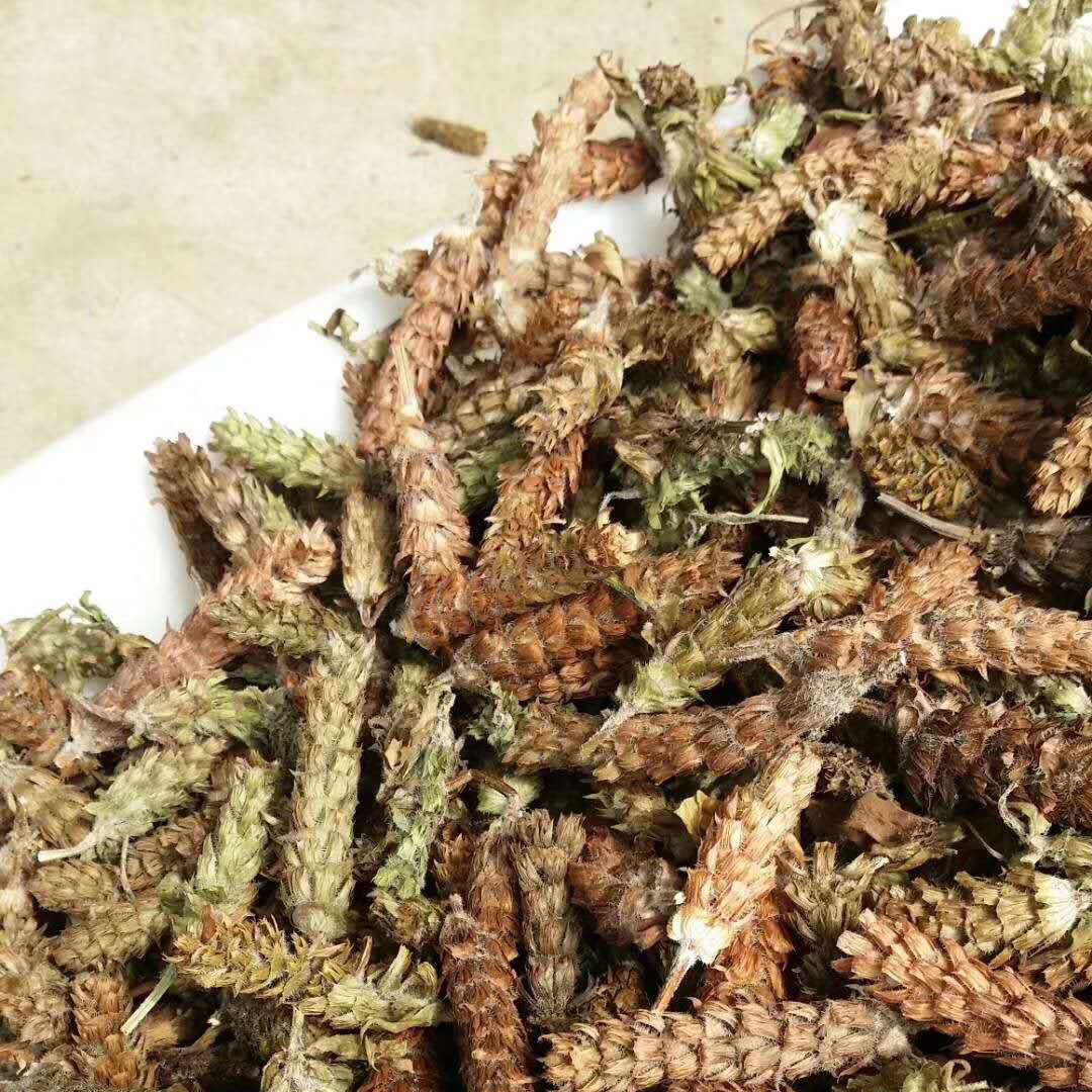 河南确山夏枯草中药材250g500g1000g牛低头麦穗夏枯草夏枯草500克