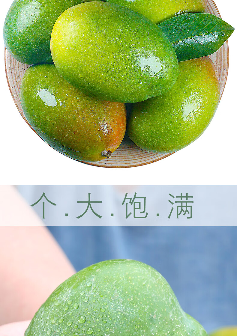 海南三亚特产青皮澳芒新鲜芒果大果当季水果礼盒装10斤顺丰速运d 5000