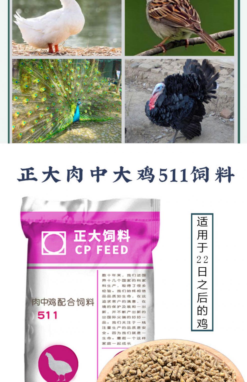 鸡饲料中大鸡肉鸡颗粒全价料钓鱼野钓打窝催肥促生长鸭鹅正大511肉中