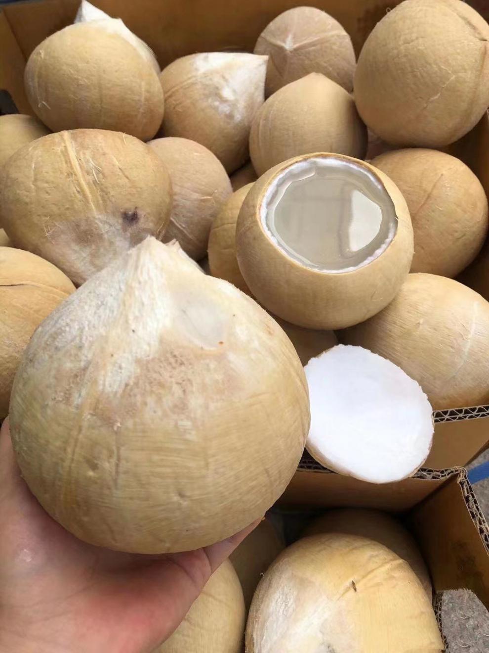 易开口奶椰产地直发泰国新鲜奶香水嫩椰子水去皮椰青孕妇水果6个9个装