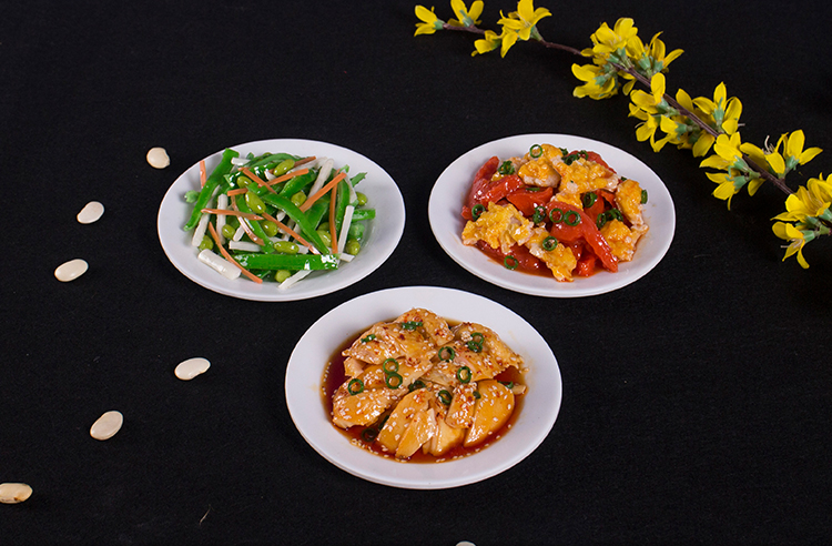 仿真食物中餐菜品模型食品仿真假菜影视拍戏样品摆设舞台表演道具lx