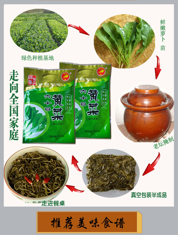 六十日黄菜 广东特产怀集六十日黄菜老坛腌制农家酸菜下饭菜甘洒60日
