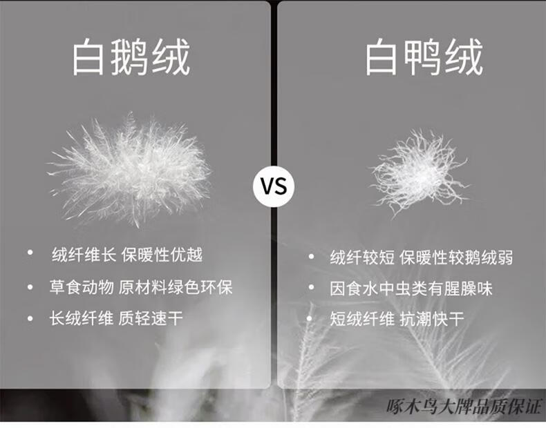 a9a19920487343ff.jpg
