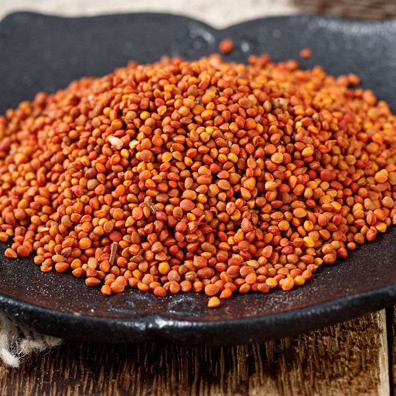 北京同仁堂中药楮实子中药材 纯正褚实子 楮实子 新鲜干货内廷上用