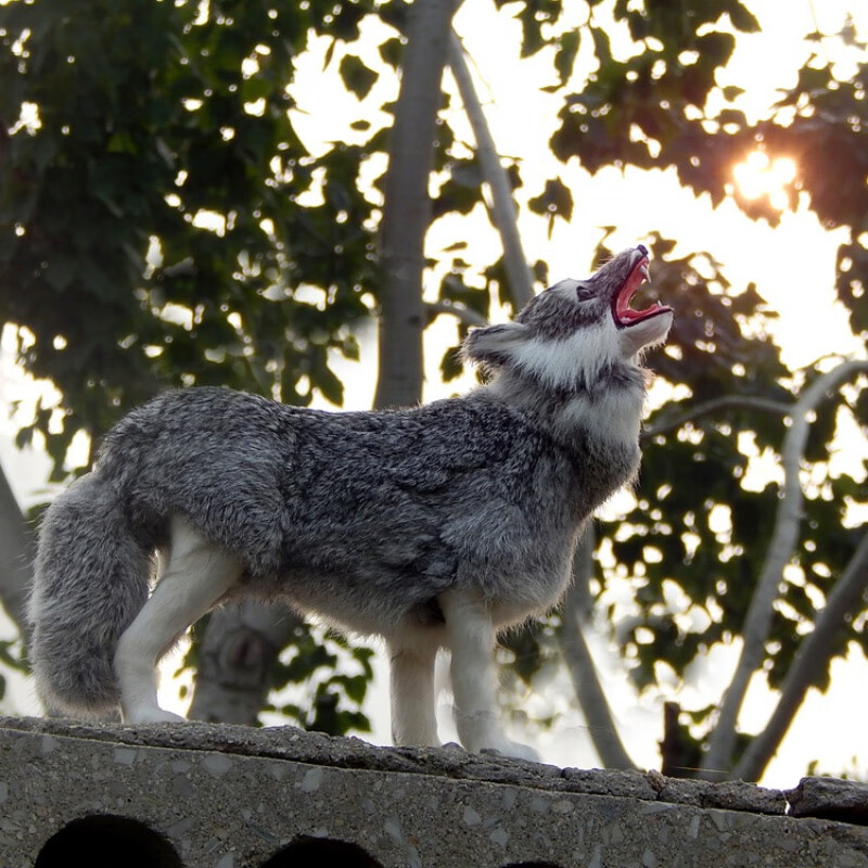 定制仿真狼模型摆件仿真兔皮动物小狼毛绒玩具小动物假狼工艺品镇宅