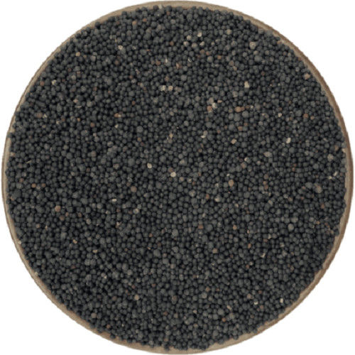 王不留行中药材下奶 王不留行籽 王不留行子 另售小通草大通草 王不留