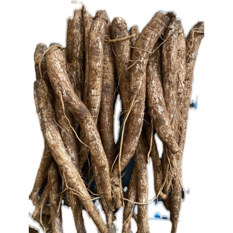 伟博云南大蓟根马刺根恶刺萝卜新鲜现挖炖鸡排骨猪蹄清热晒干一斤