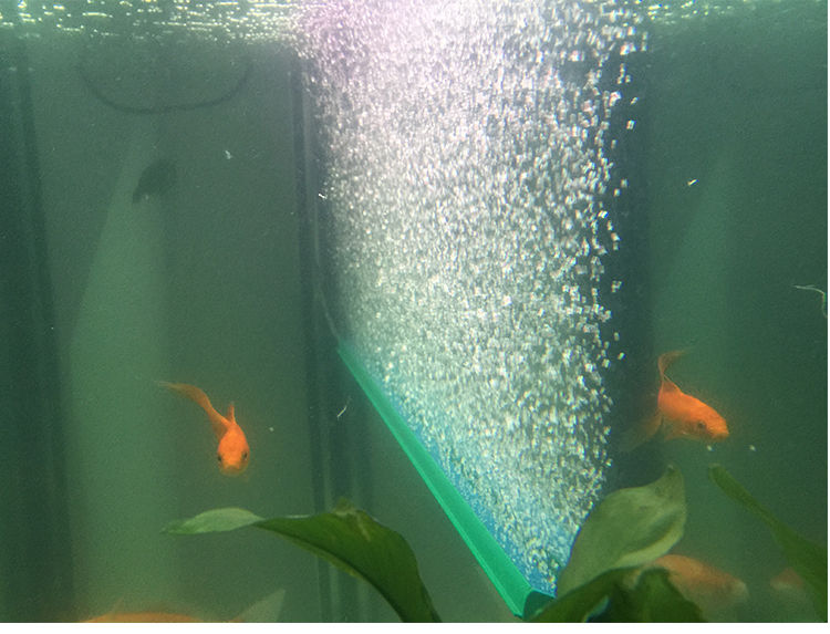 大魚缸水族箱造景裝飾氧氣增氧泵氣石氣泡條簾散條沙頭散氣條氣盤30