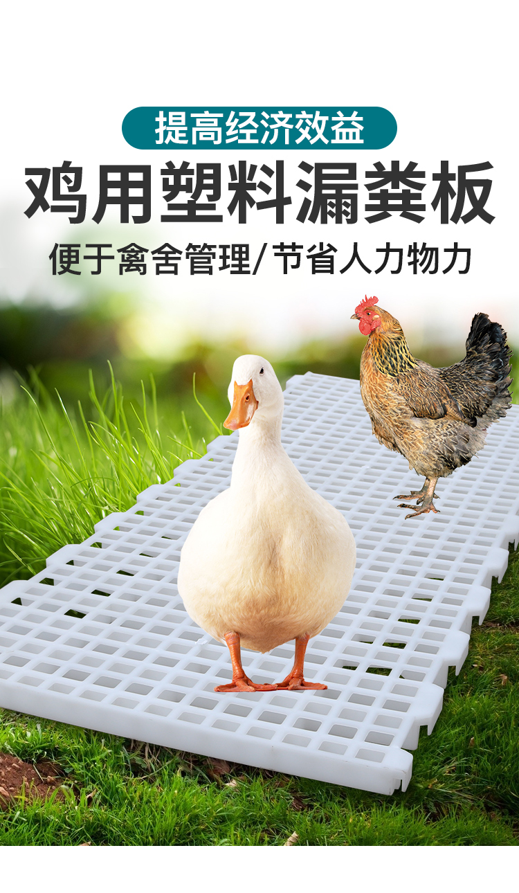 舞万花鸡用漏粪板鸡鸭鹅鸽子家禽塑料网格漏屎养鸡场鸡舍脚垫接粪隔粪