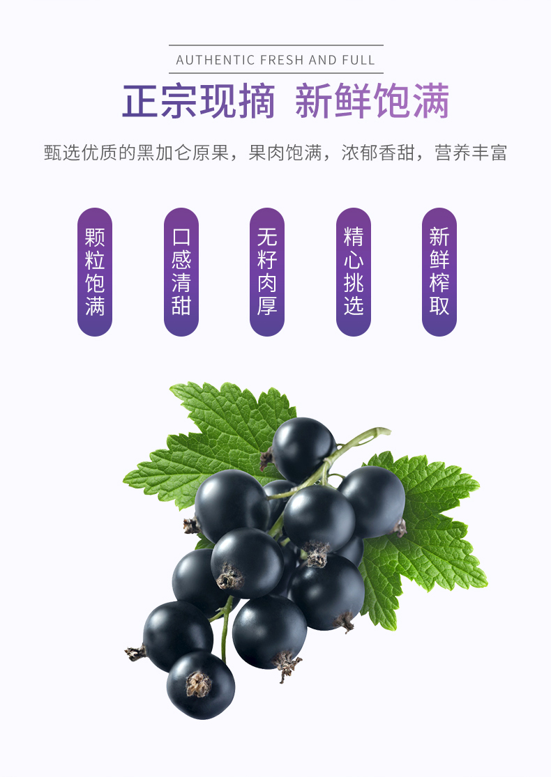黑枸杞桑椹黑加仑复合果浆青海鲜苟杞黑美人30ml30袋