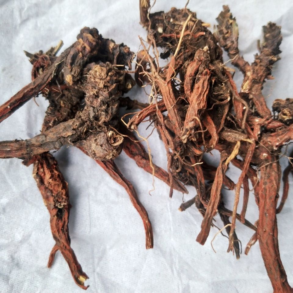 有仁堂贵州省紫丹参中草药材紫丹参片小红参高山现挖