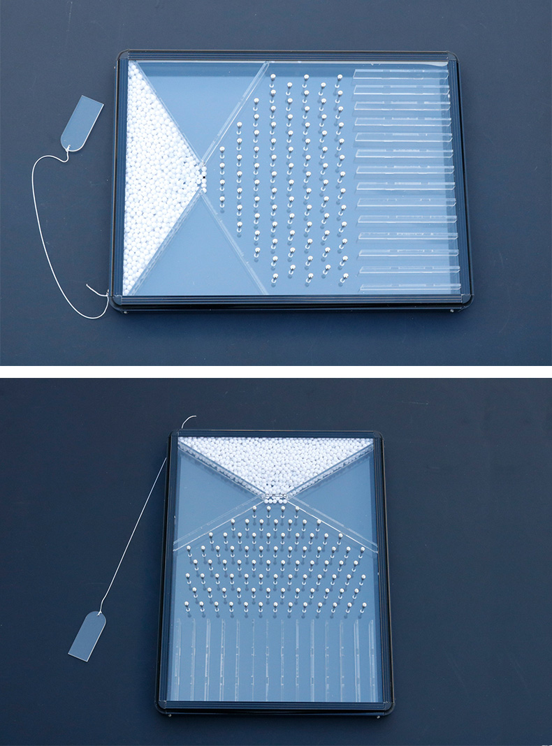 22220道尔顿板伽尔顿板随机现象实验模型气体分子运动教学仪器