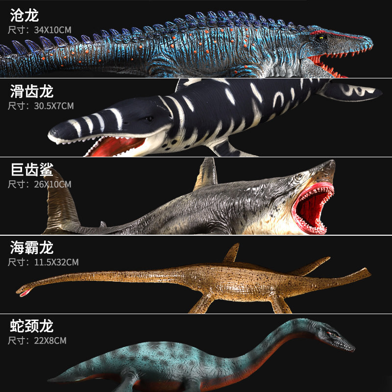 定製滄龍模型仿真動物史前生物海洋霸主滑齒龍恐龍玩具空心巨齒鯊地球