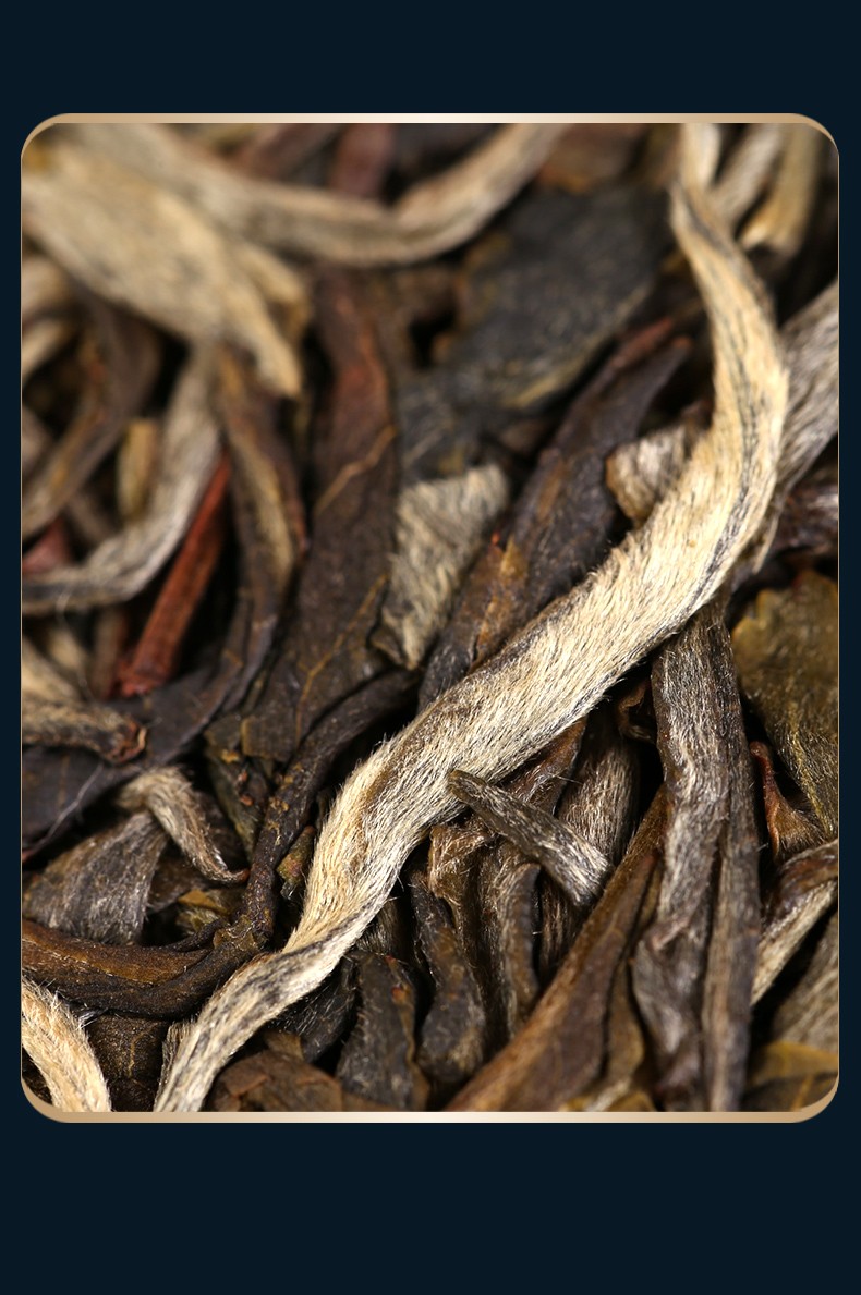 普洱云南生茶 2021年六星刮风寨古树茶 茶者茶叶357克/片【图片 价格