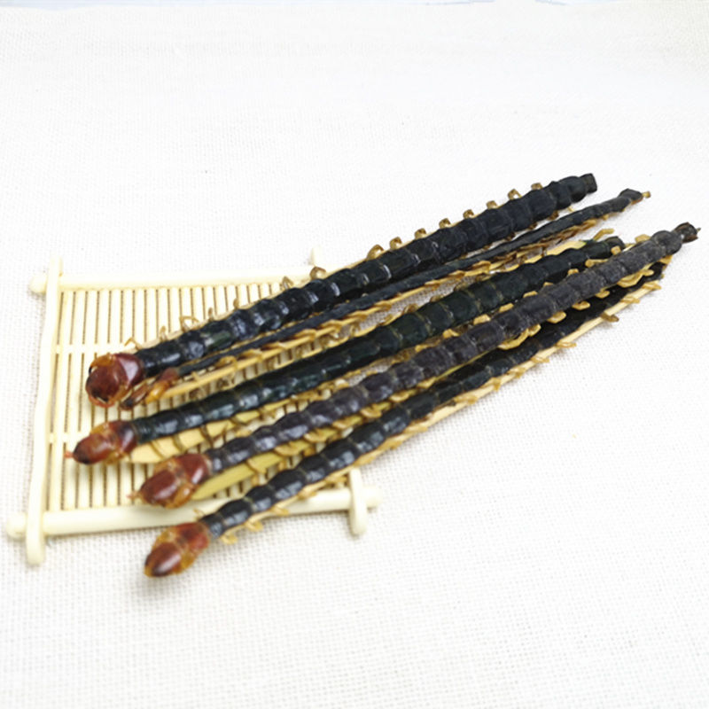 伟博蜈蚣干 红头蜈蚣皮大蜈蚣虫整条17cm虫 草 药材批发规格齐全 10cm