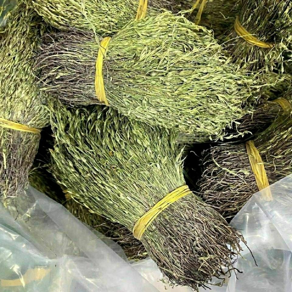 北京同仁堂原料广西野生独脚金250克-500克中草药独脚柑 疳积草干货