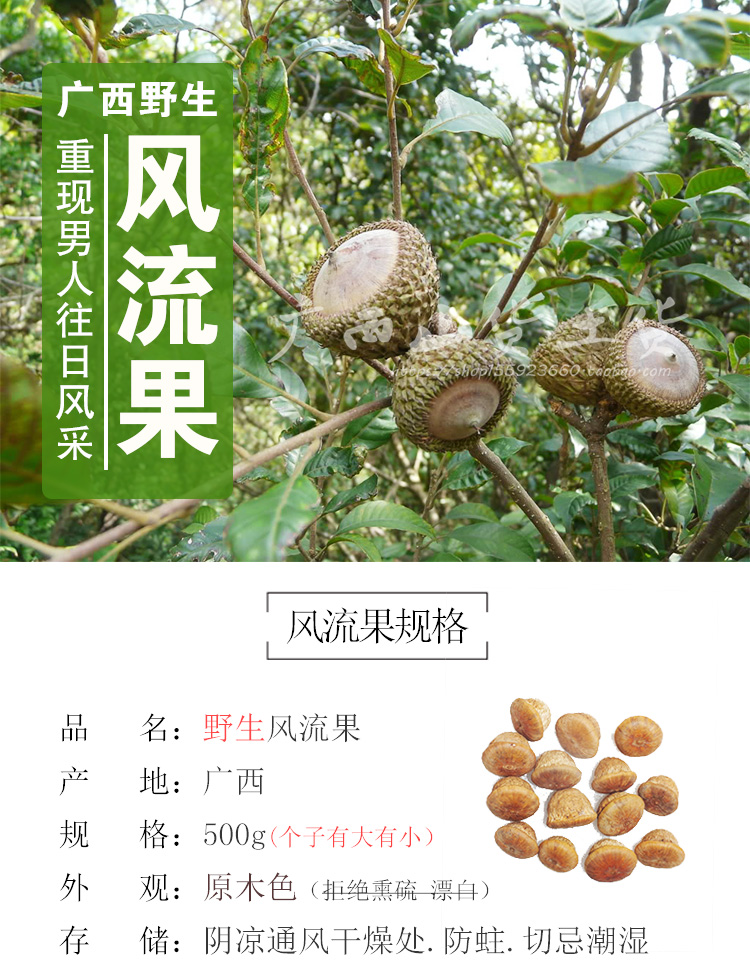 (下图片告诉您)真正野生风流果是大小不均匀的,另外大小并不影响功效