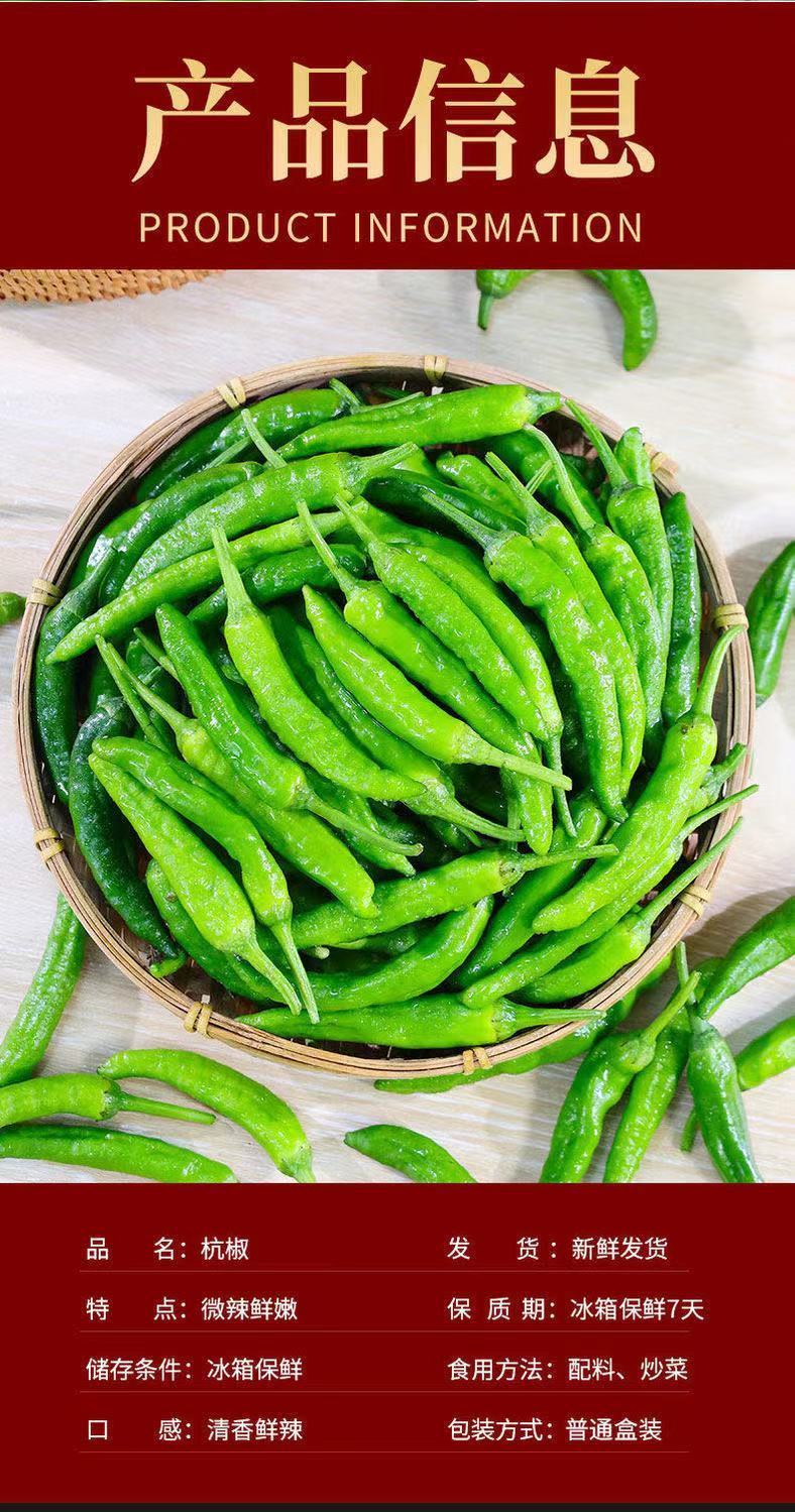新鲜辣椒特辣青线椒现摘杭椒当季蔬菜巨辣批发 农家青杭椒(中辣) 新鲜