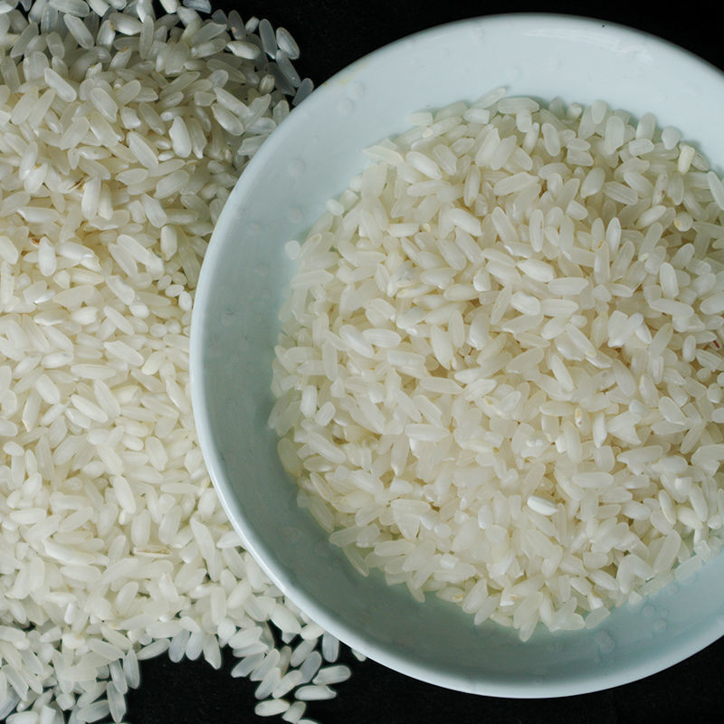 早稻米籼米大米米籼米南方米丝苗米农家自产 2.5kg