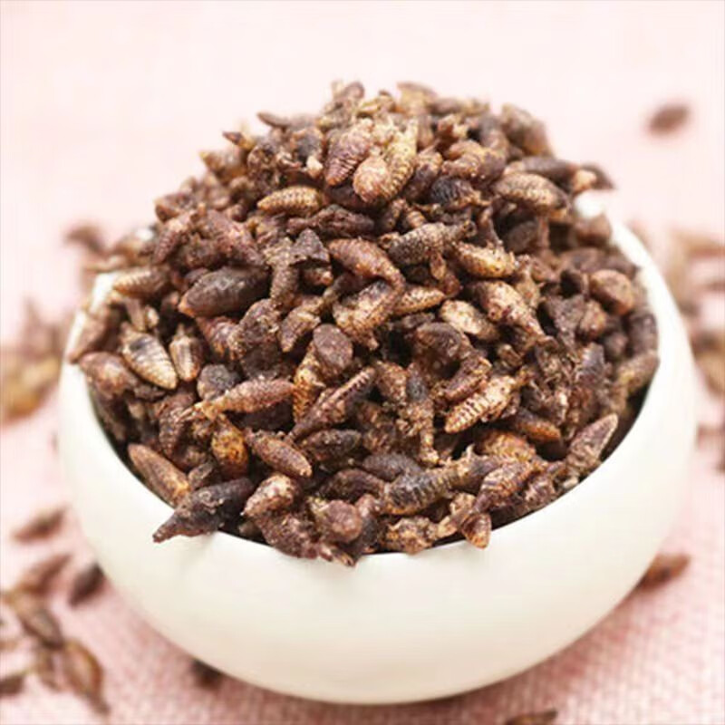 北京同仁堂原料品质 金沙牛新鲜晒干金砂牛野山蚁狮地牯牛手工挑选无