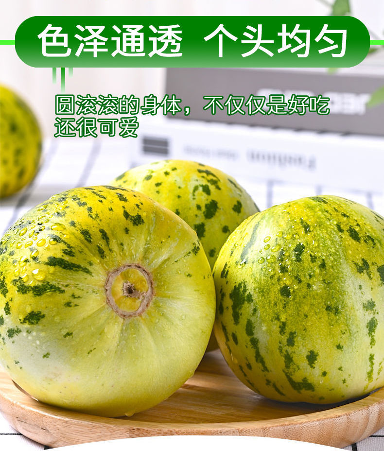 八里香甜瓜花蕾甜瓜脆甜花皮应季博洋甜瓜新鲜现摘 5斤-6斤【6个】