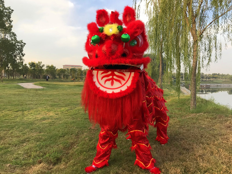 驴羚(lechwe)舞狮 新款舞狮道具整套南狮双人舞狮子龙醒狮服装狮头套