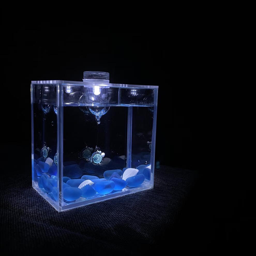 不二臣泰国斗鱼专用缸小型桌面超白缸展示级斗鱼专用缸创意桌面鱼缸