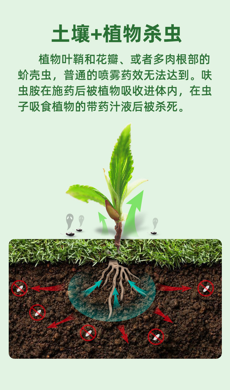 千百季呋虫胺胶囊呋虫咹杀虫剂颗粒剂农药植物花卉月季白粉虱兰花蓟马