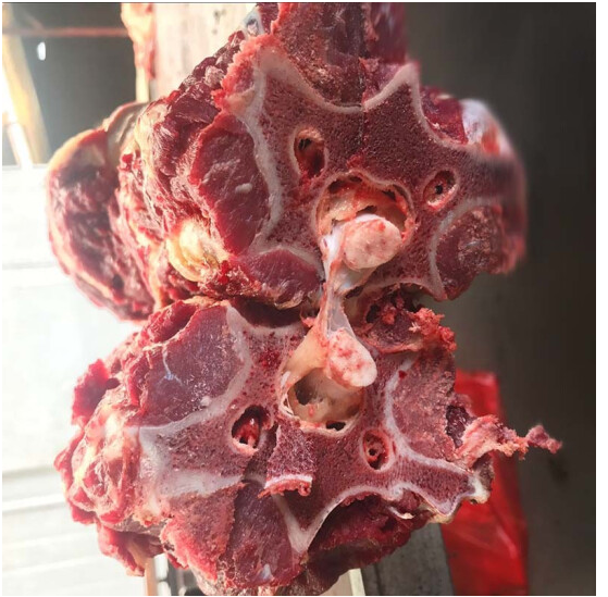 新鲜现杀驴大梁骨驴脊骨驴架子正宗 安小离 5斤带肉骨头【图片 价格